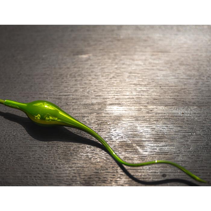 Sklenený fúkaný ornament zelená pampas