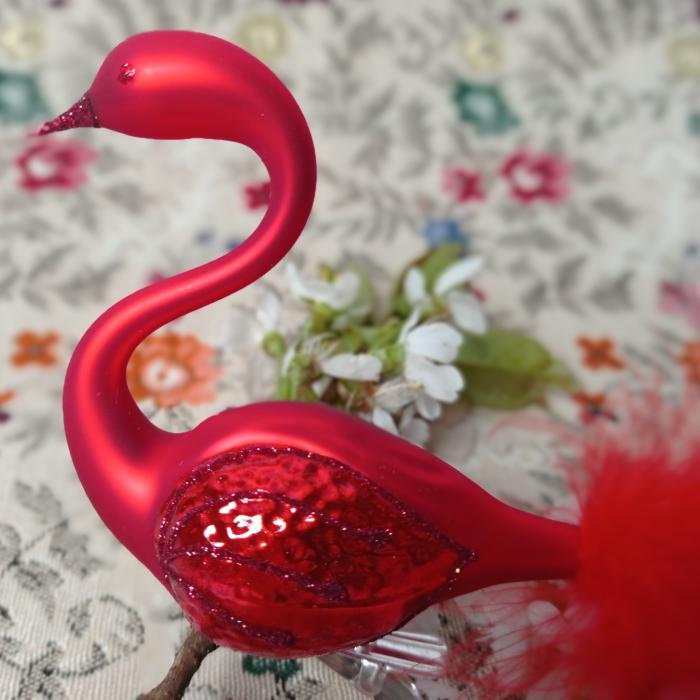 Pár červených labutí