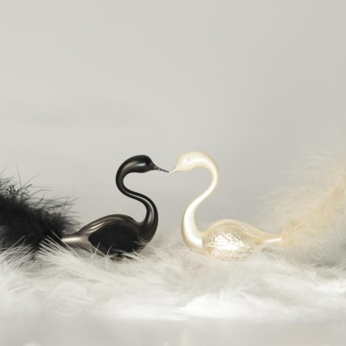 Labutí pár čiernobiely