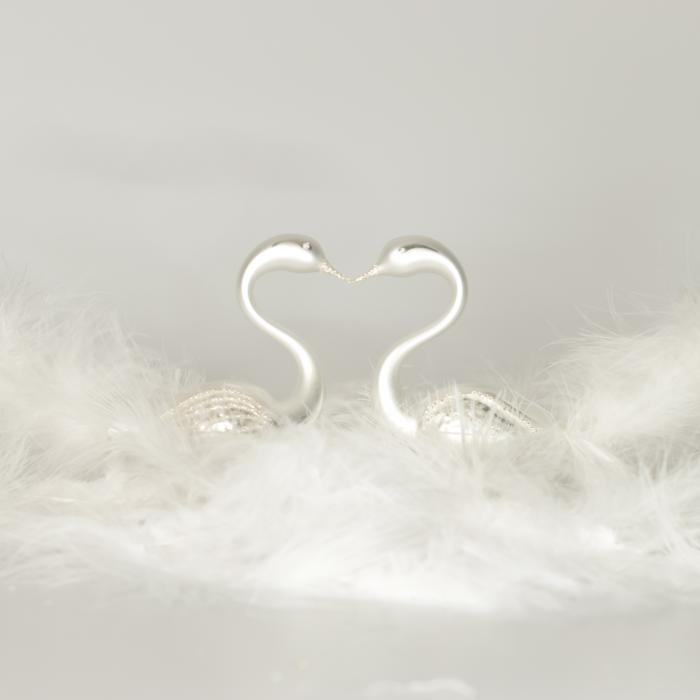 Pár bielych labutí