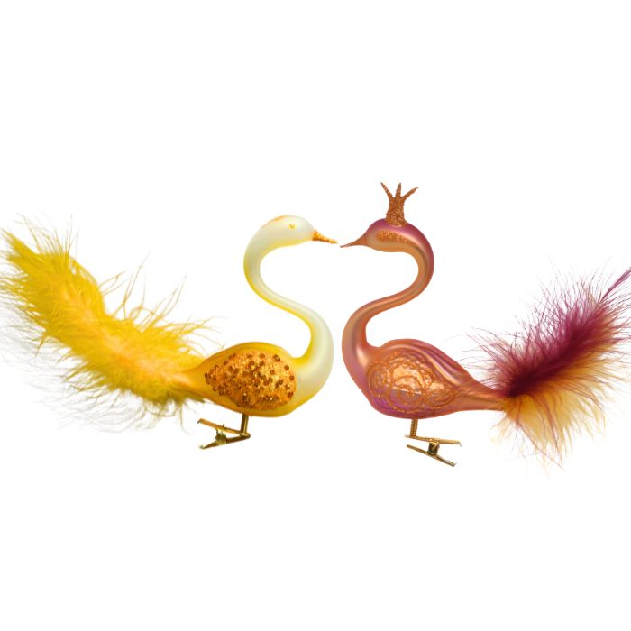 Labutí pár žiarivý